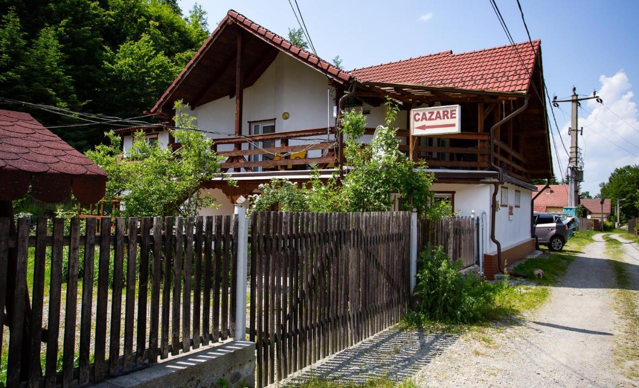 Casa Trandafirilor Hotel Cartisoara Exterior photo