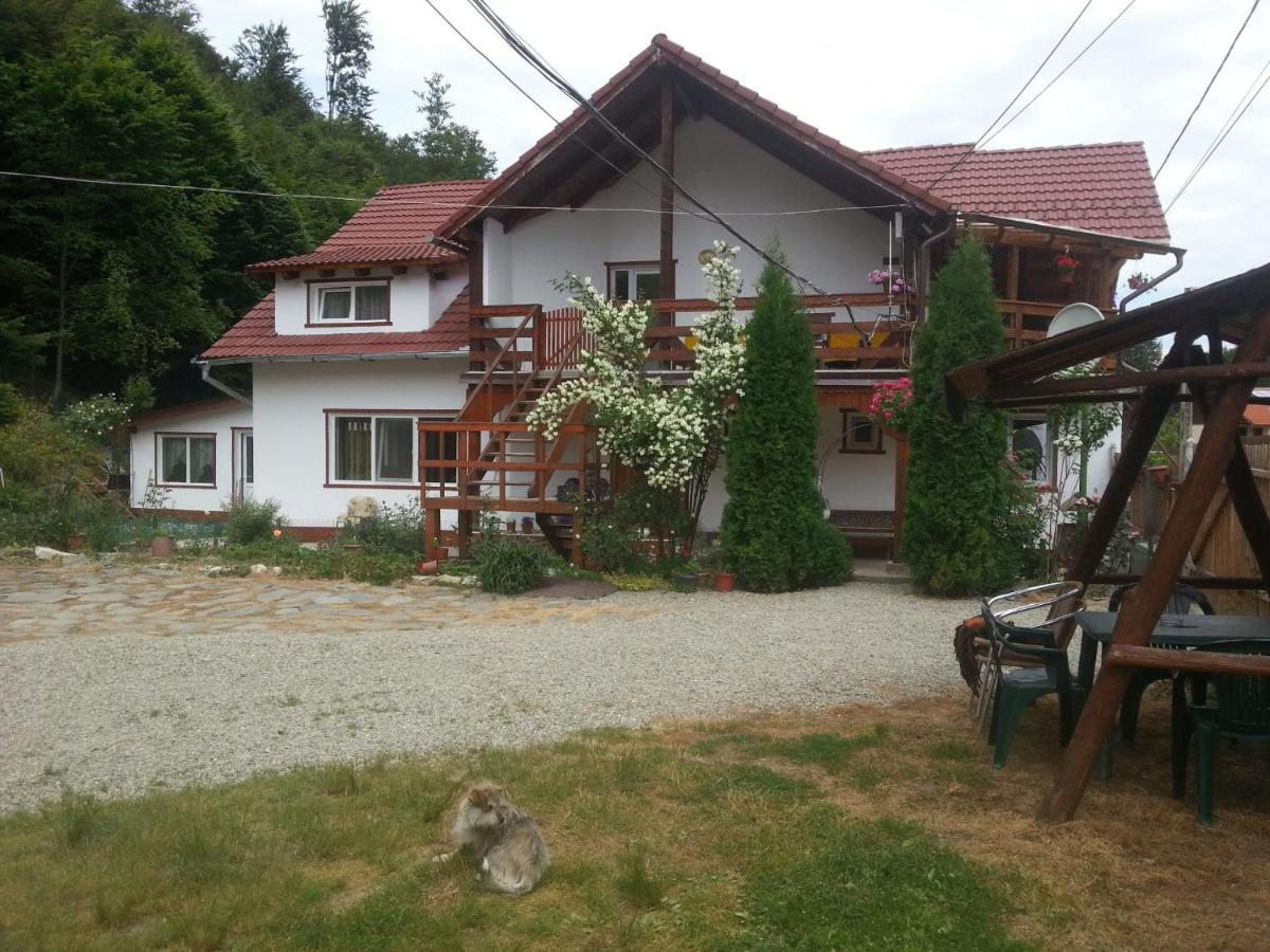 Casa Trandafirilor Hotel Cartisoara Exterior photo