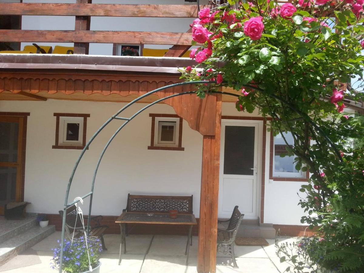 Casa Trandafirilor Hotel Cartisoara Exterior photo